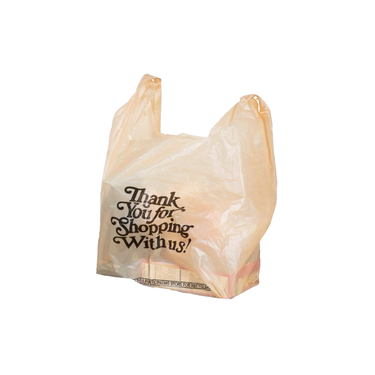Grocery Bag